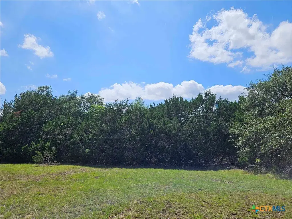 Lot 14 Cielo Springs Drive, Blanco
