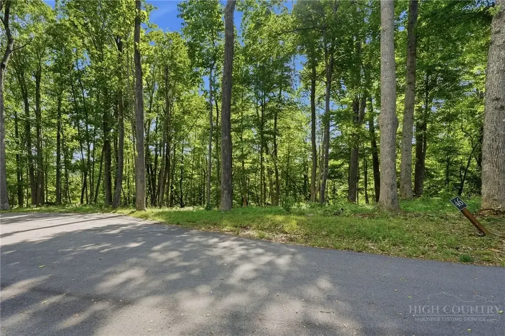 Lot 46 Poplar Forest Drive, Boone