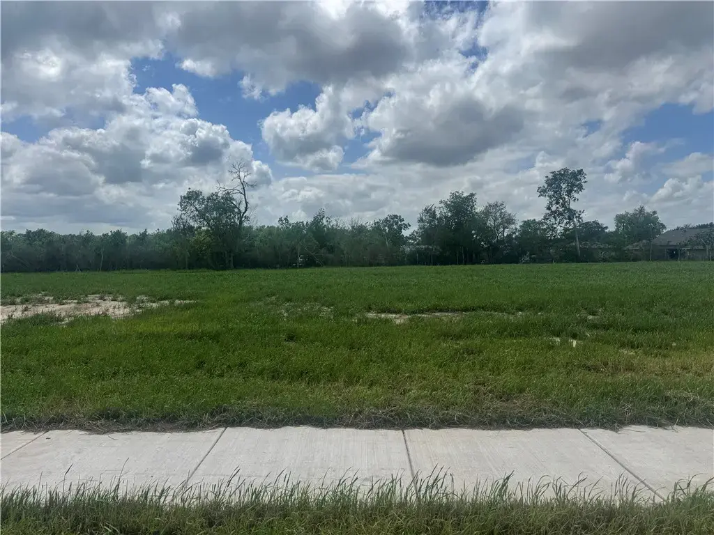 2314 Pagosa Springs Drive, Bryan