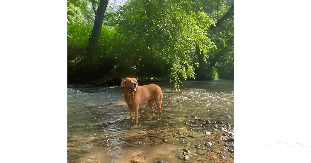 Lot 758 River Hollow Trail, Lenoir