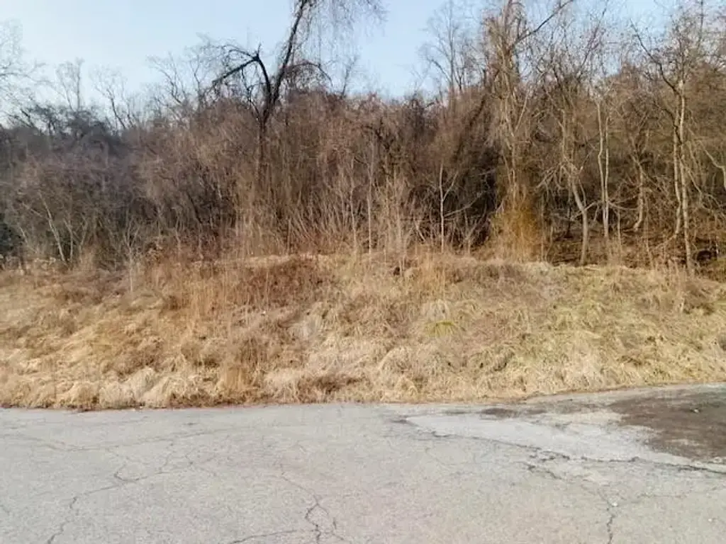 Virginia Avenue , Midland Boro