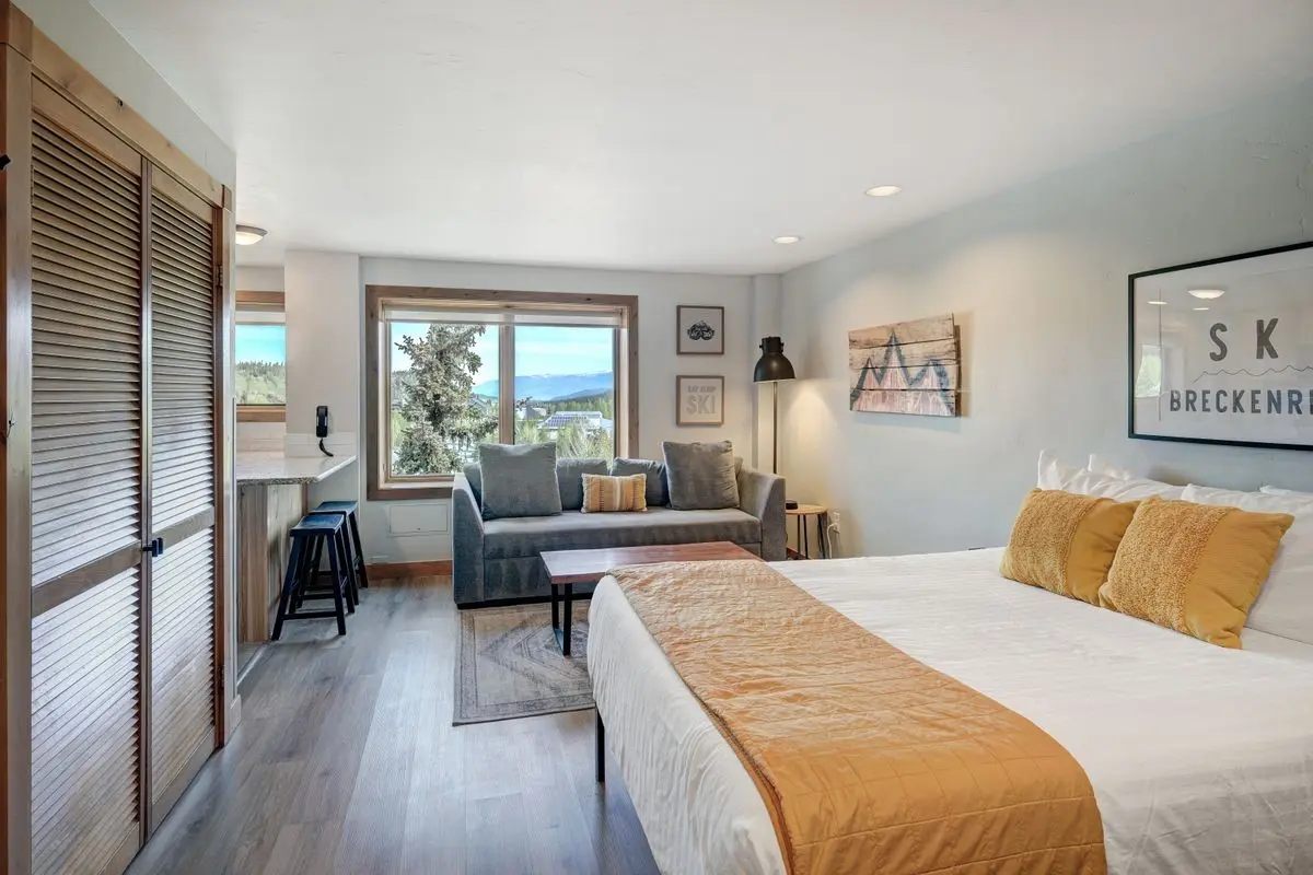 535 S Park Avenue 317, Breckenridge