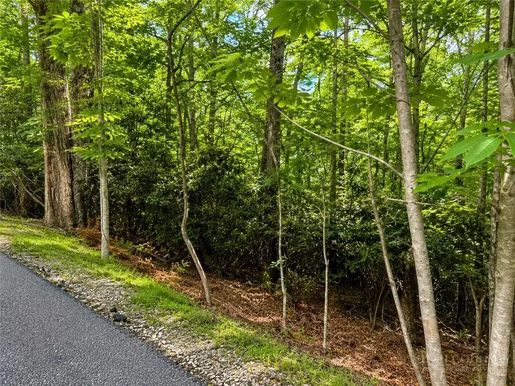 Tbd Walnut Road, Boone