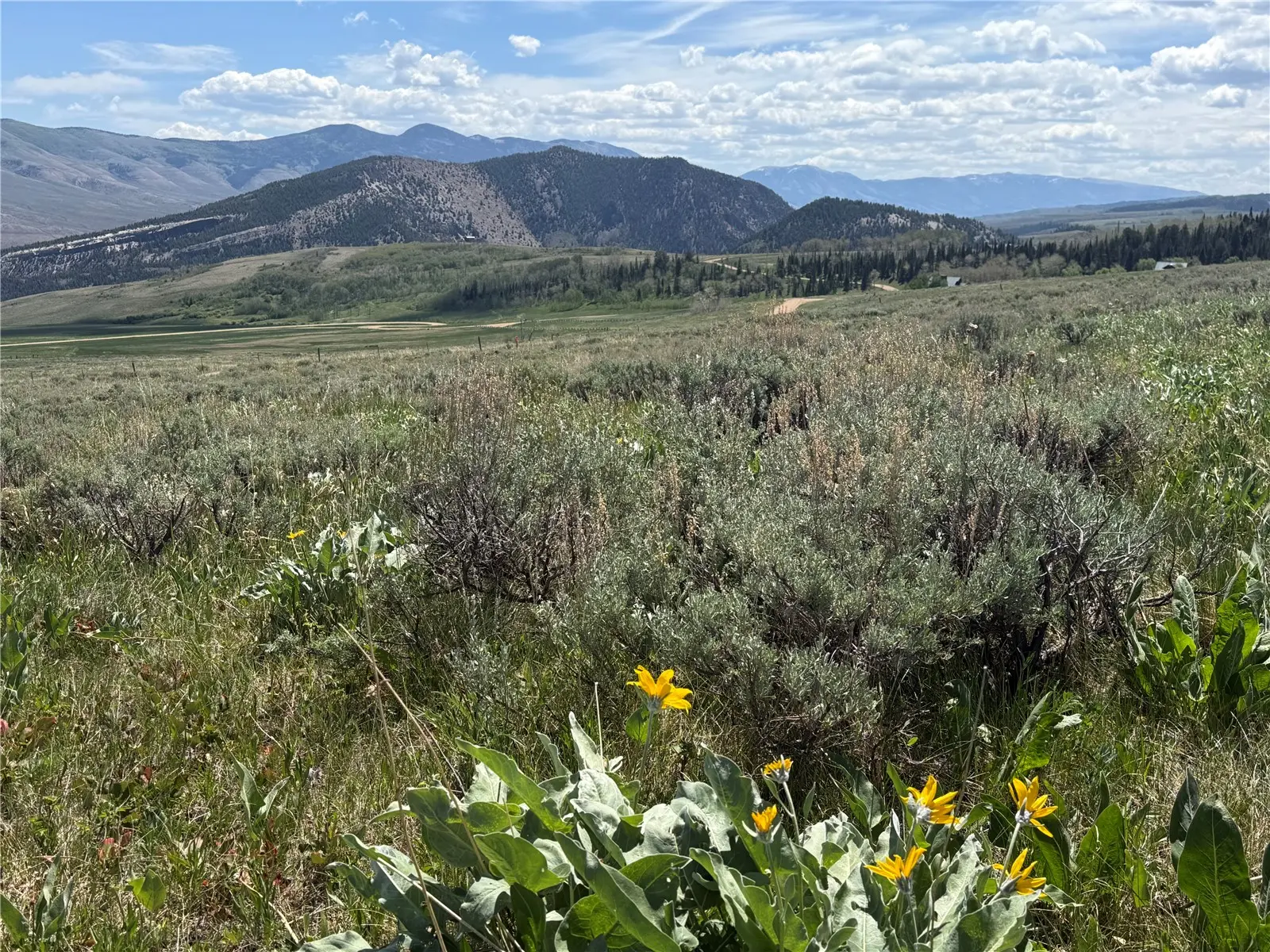 Tbd Spring Creek Ranch Road, Silverthorne