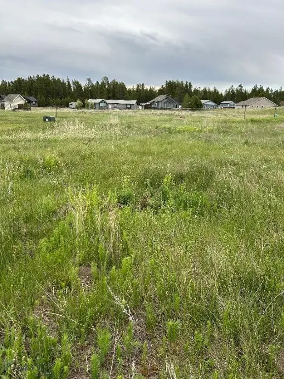 Tbd Buffalo Drive, West Yellowstone