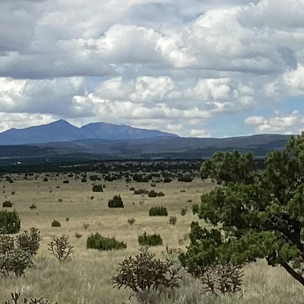 County Road A052, Estancia