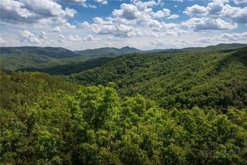 75 Lobelia Lane, Boone