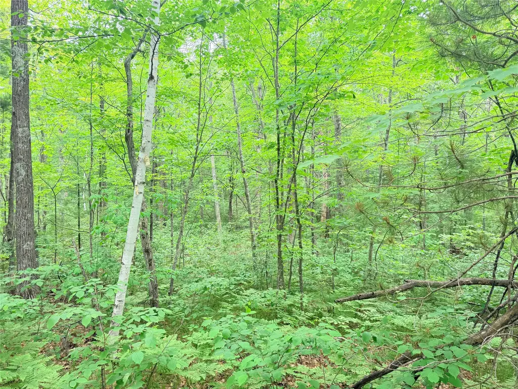 Schultz Lane, Stone Lake