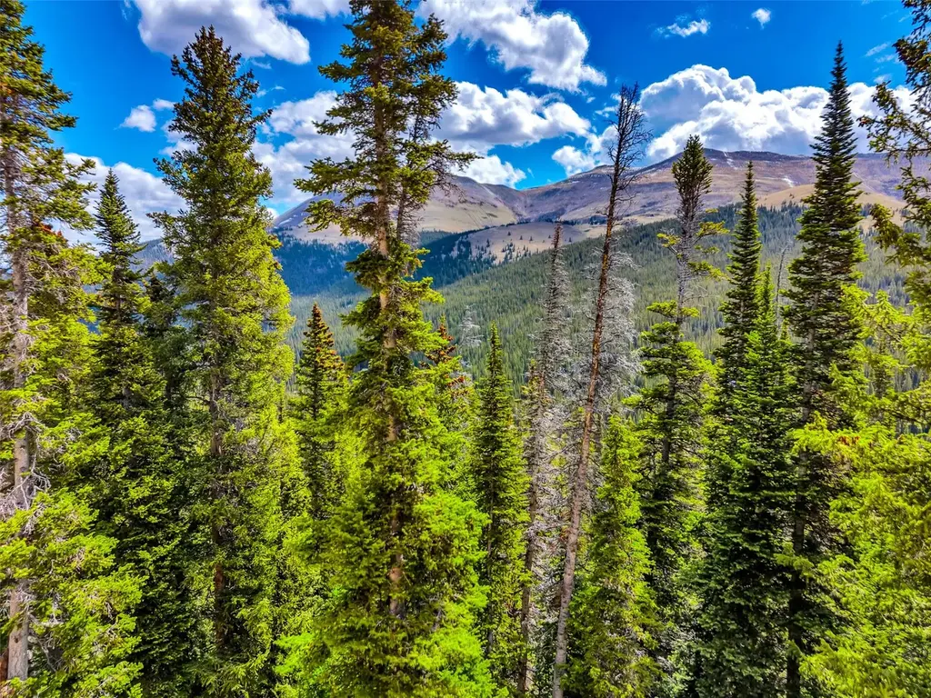 105 & 71 Quandary View, Breckenridge