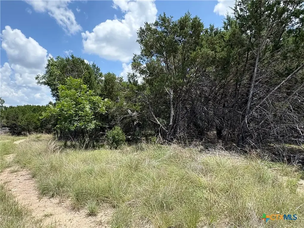 317 County Road 3062, Lampasas