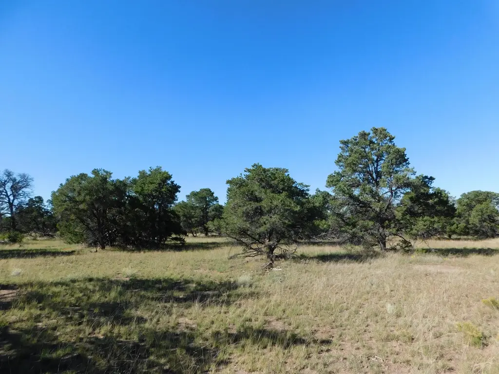 43 Brook Boulevard, Quemado