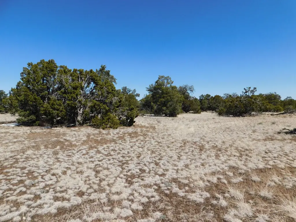 Lot 26 Spring Canyon Cir, Quemado