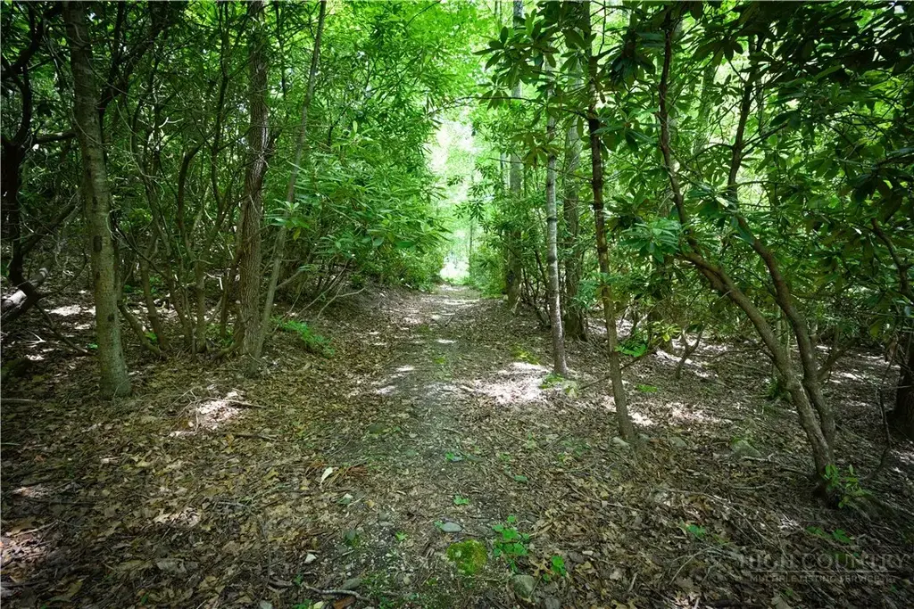 Lot 2 Gusher Knob Road, Spruce Pine