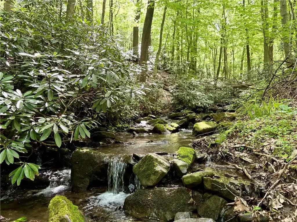 Lot 1c Cottonwood Road , Bullskin