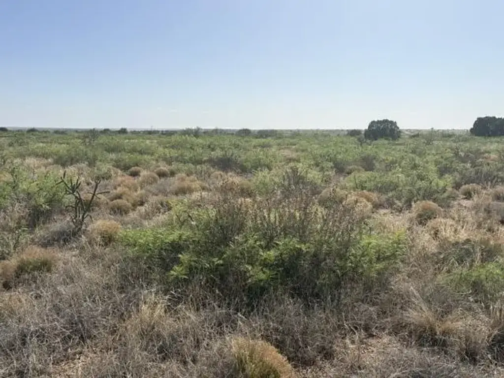 Lot 48 State Road 203, 