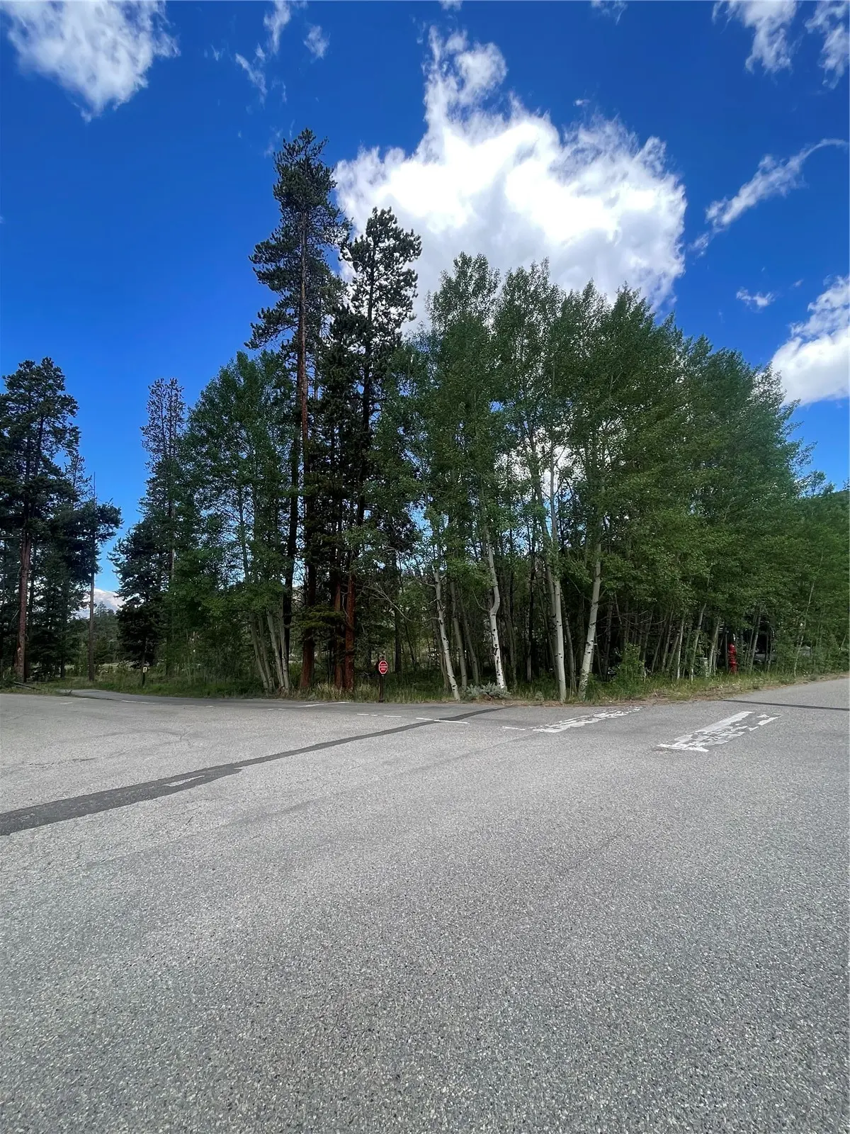96 Elk Crossing Lane, Keystone