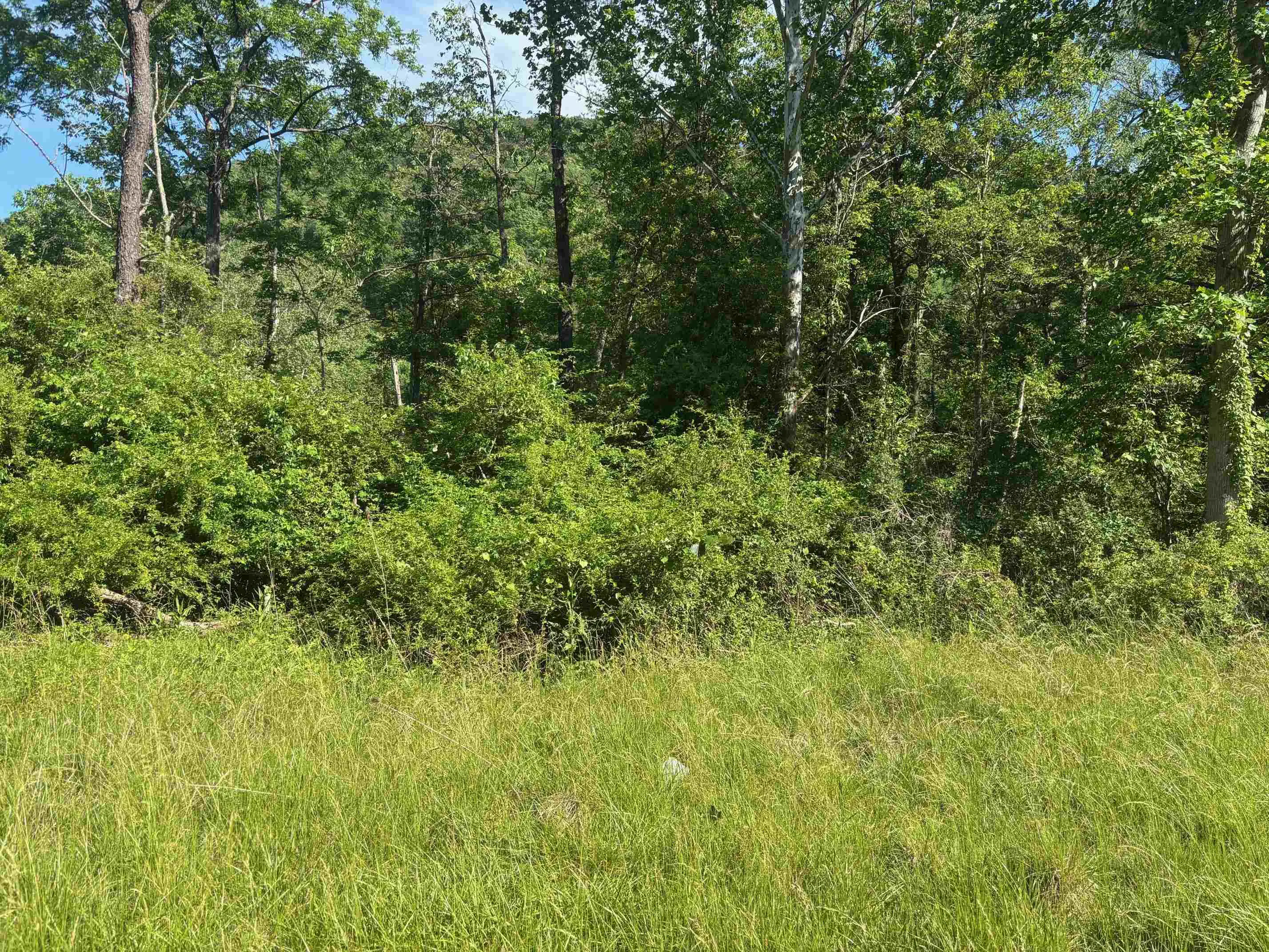 Tbd 1.99 Acres Parkersburg Tpke, Swoope