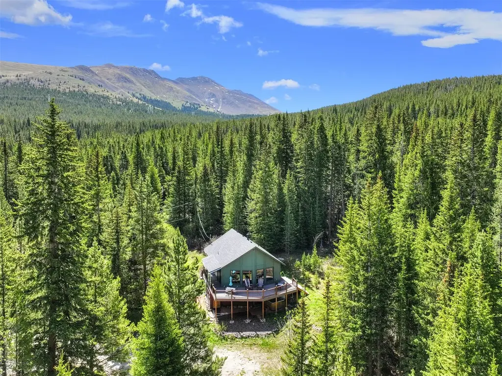 506 Cnty Rd 528, Breckenridge