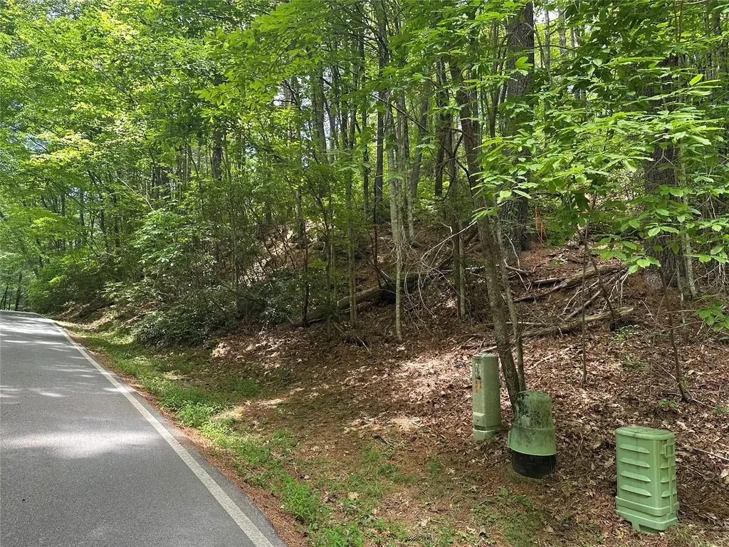 113 W Christy Trail, Sapphire