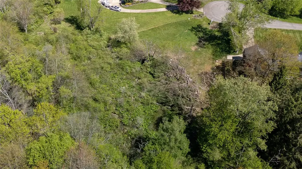 Mcchesney Way, Pine