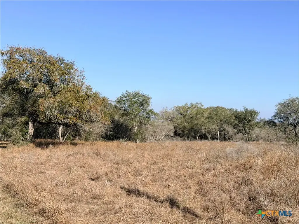 1776 Fm 1351, Goliad