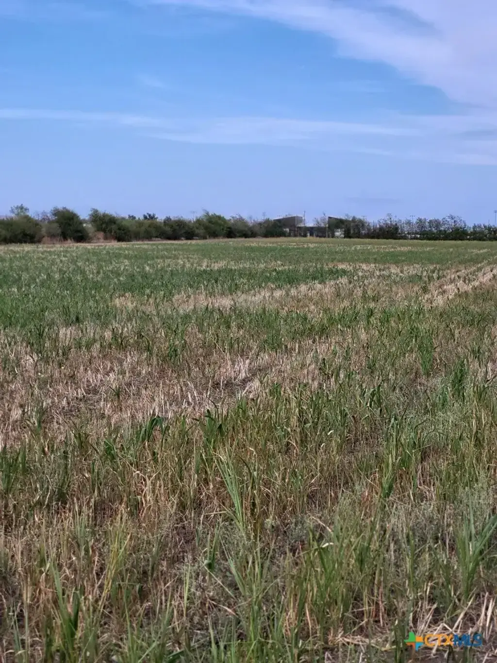 1701 W Fm 487, Jarrell