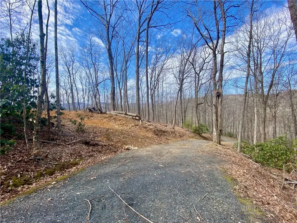 Tbd Old Chestnut Mountain Road, Newland