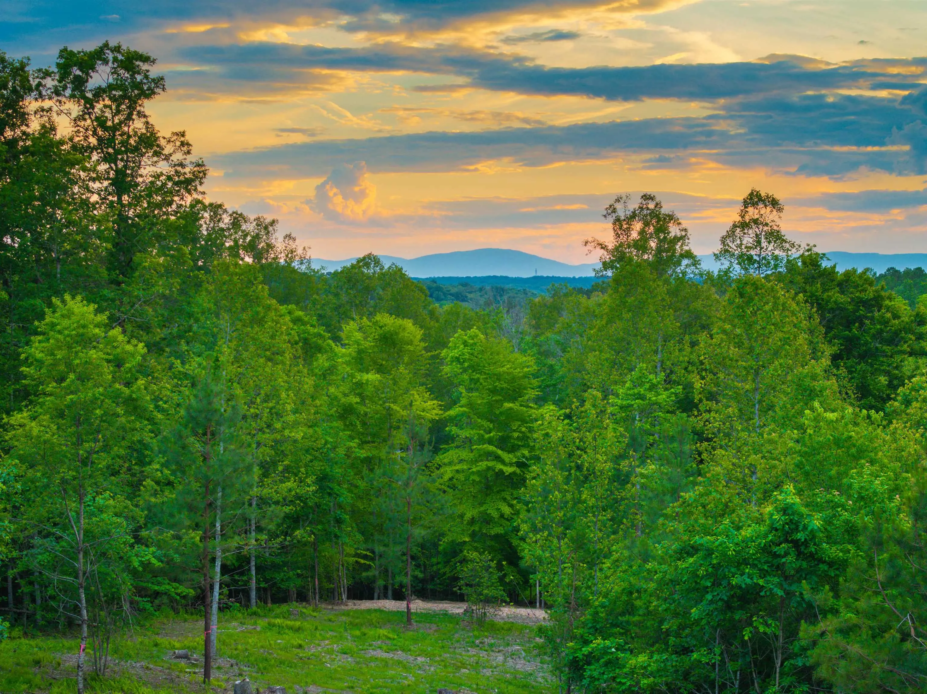 Lot 2 Gilbert Station Rd, Barboursville