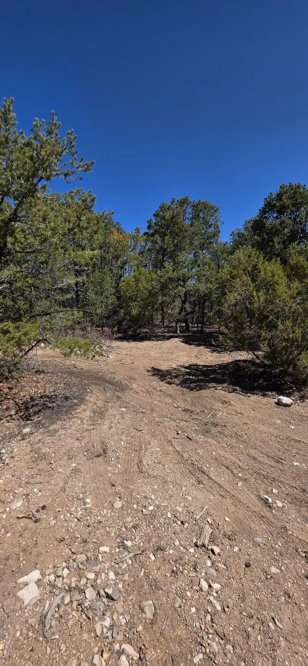 Chico Road R015120, Edgewood