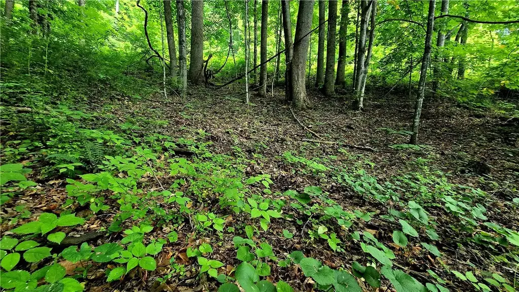 Lot 18 Elk Creek Mountain Parkway, Todd