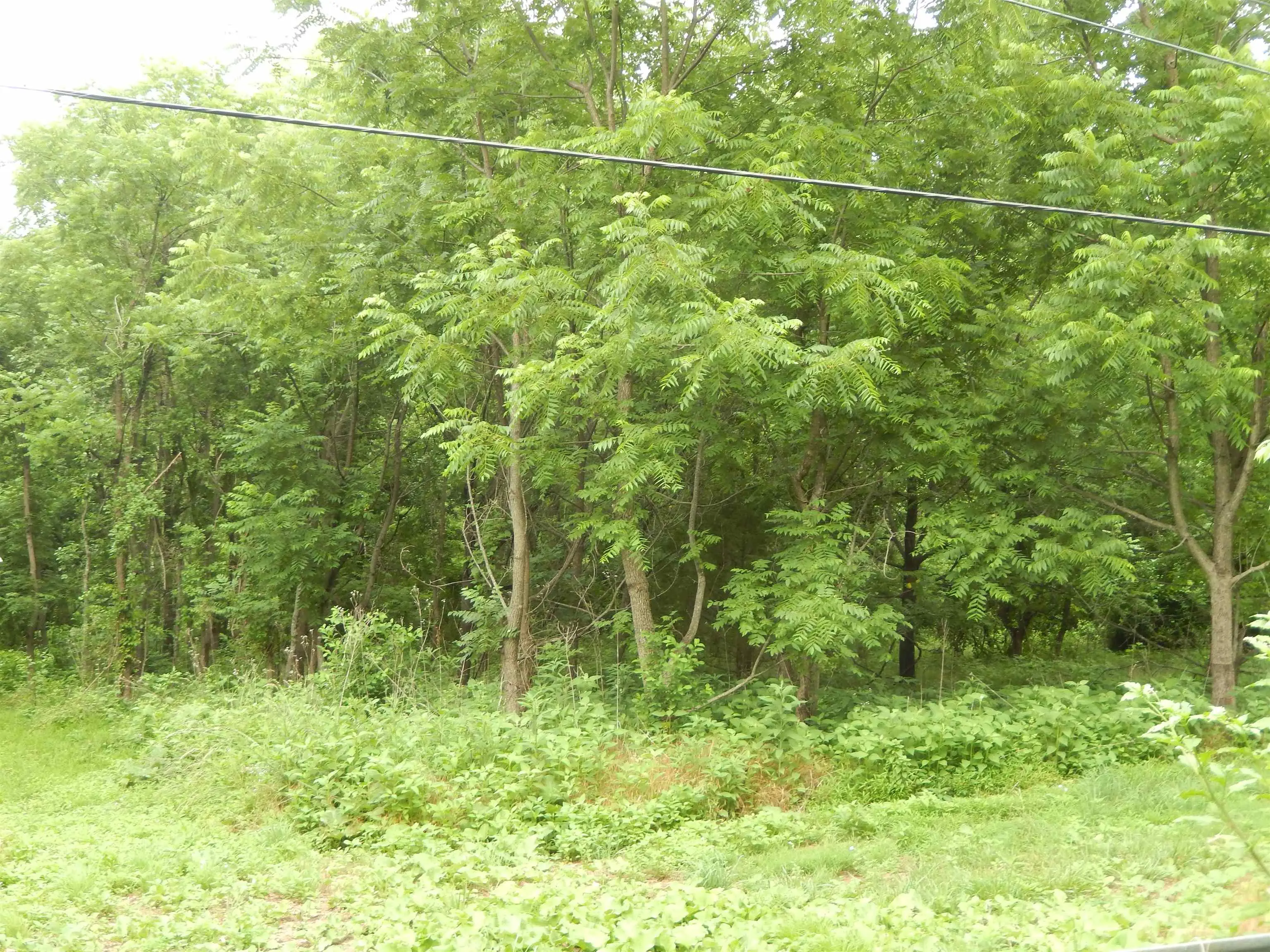 898 Sandy Bottom Rd, Elkton