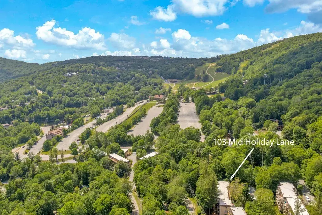 103 Mid Holiday Lane # 112, Beech Mountain