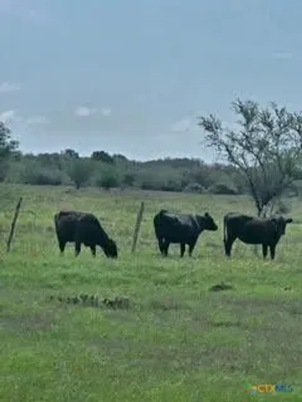County Road 18 30.73 Acres Tract 3, Hallettsville