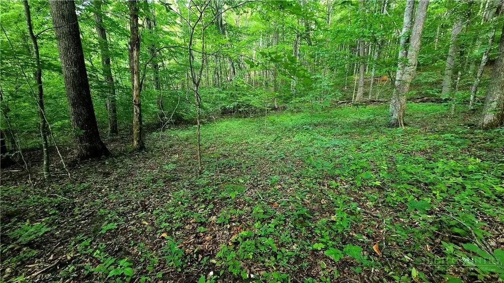Lot 11 Elk Creek Mountain Prkwy, Todd