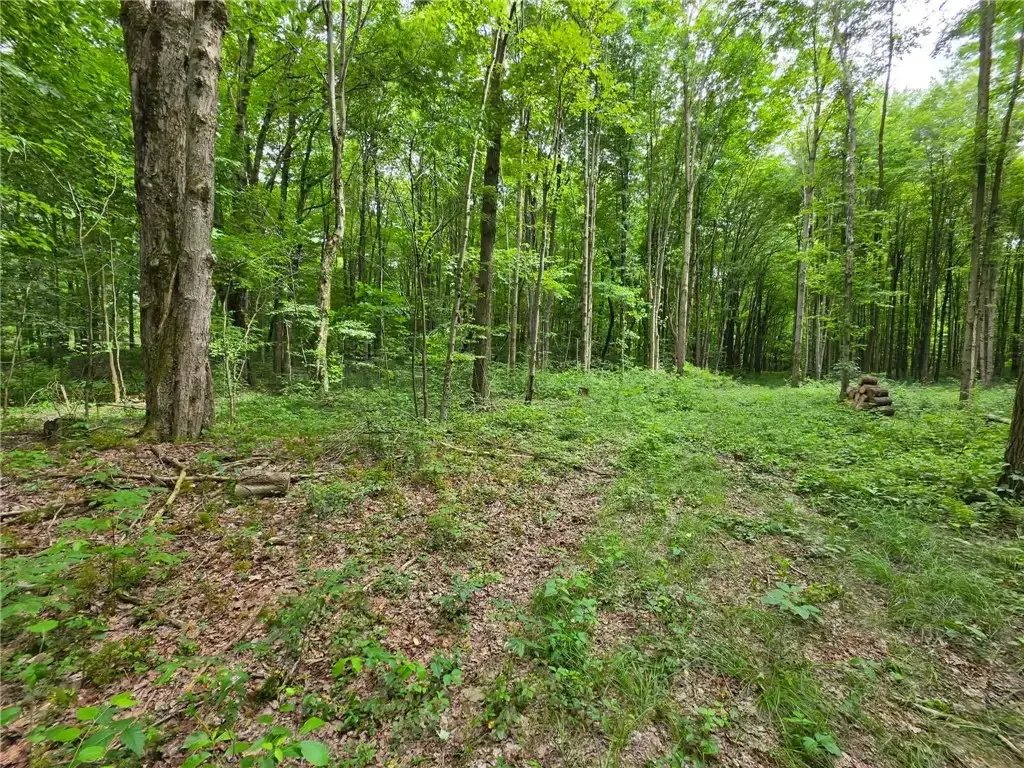 Fox Mine Road , Jackson Center Boro