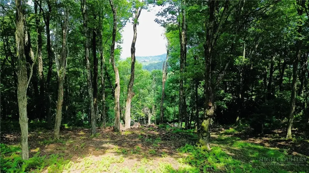 Tbd Mountain Song Road, Blowing Rock