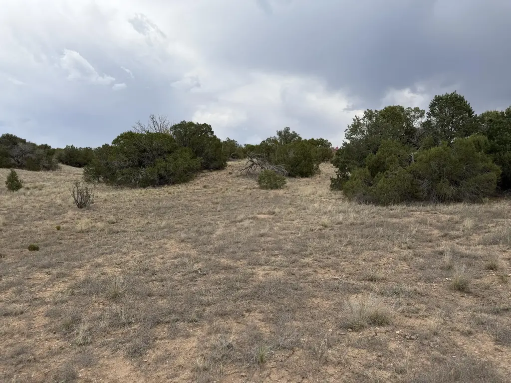 Lot 24 Stagecoach Trail, Sandia Park