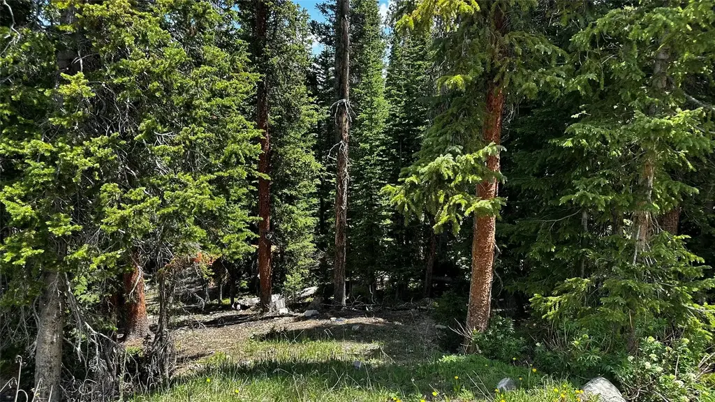 584 Camron Lane, Breckenridge