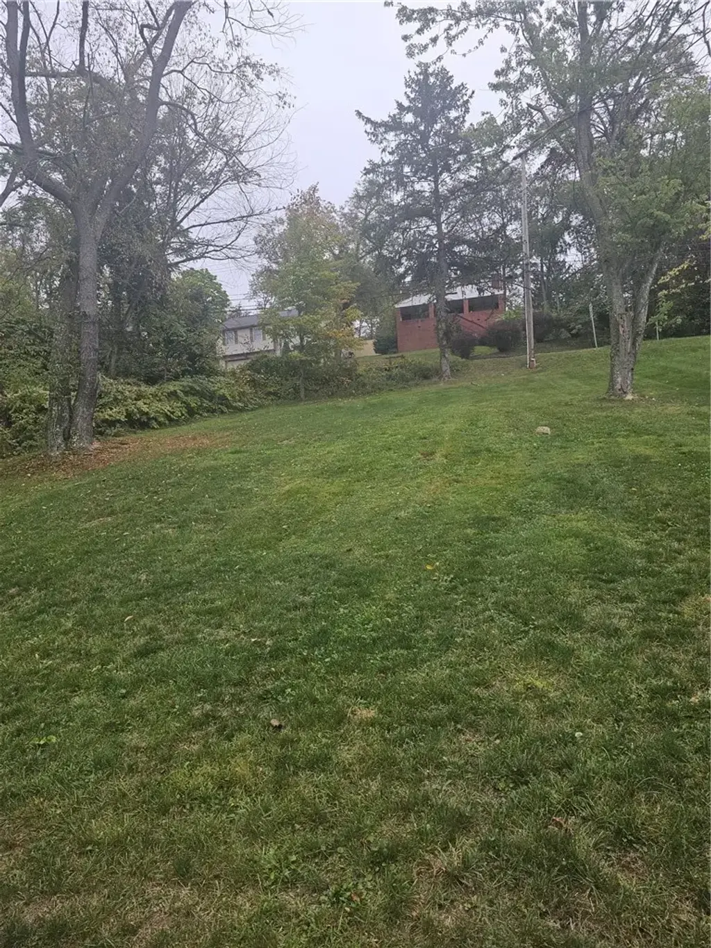 Willow Drive, Monroeville