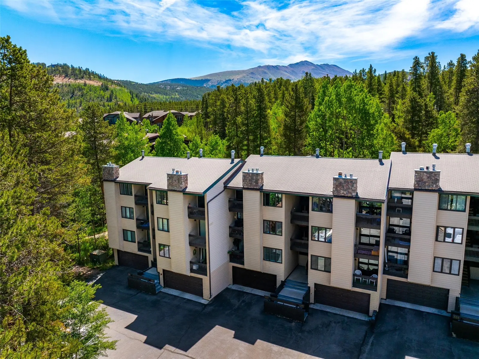 246 Broken Lance Drive 103, Breckenridge