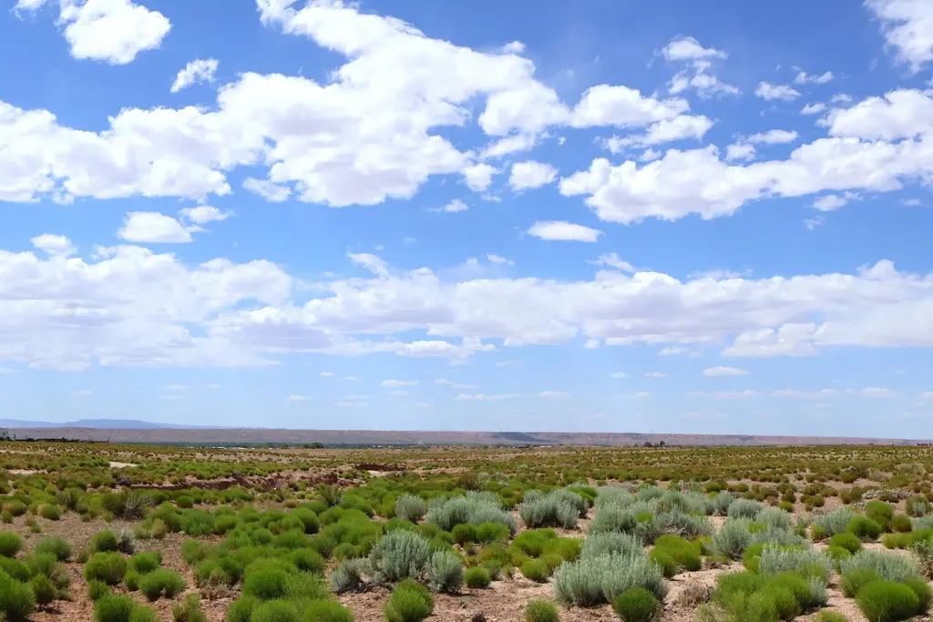 Lot 3 Rio Grande Estates, Veguita