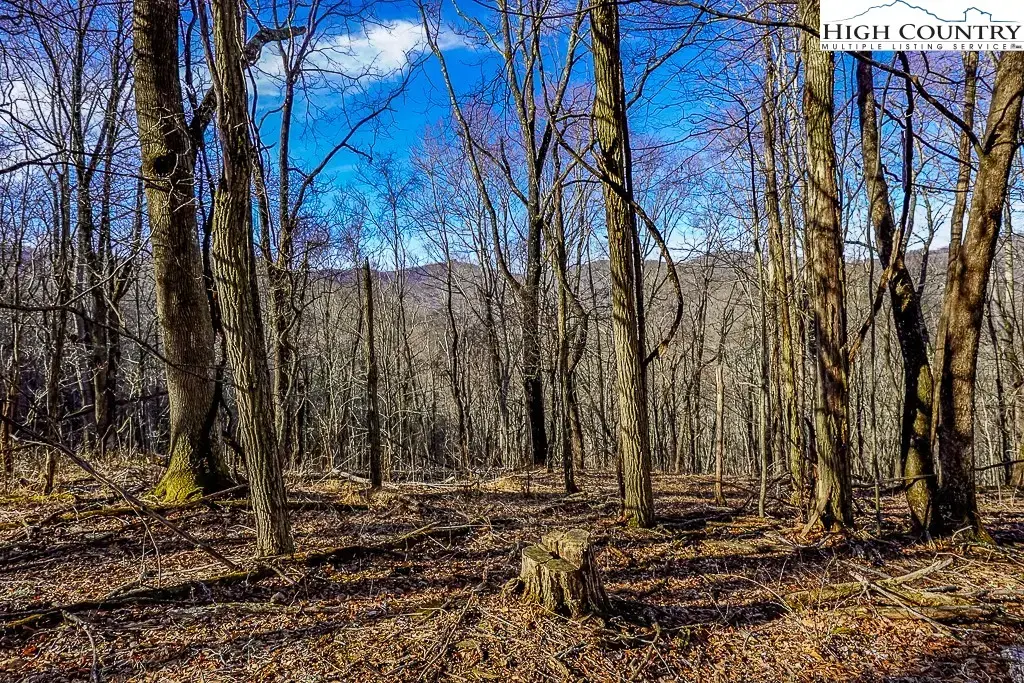 Tbd Little Tree Lane, Banner Elk