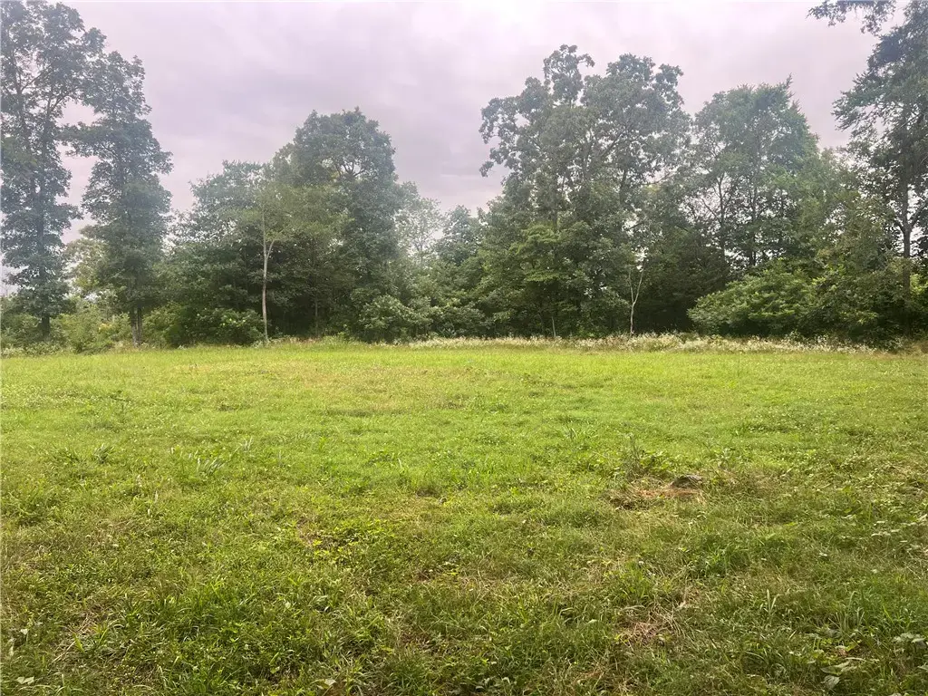 Tbd Downing (wc 136) Road, Fayetteville