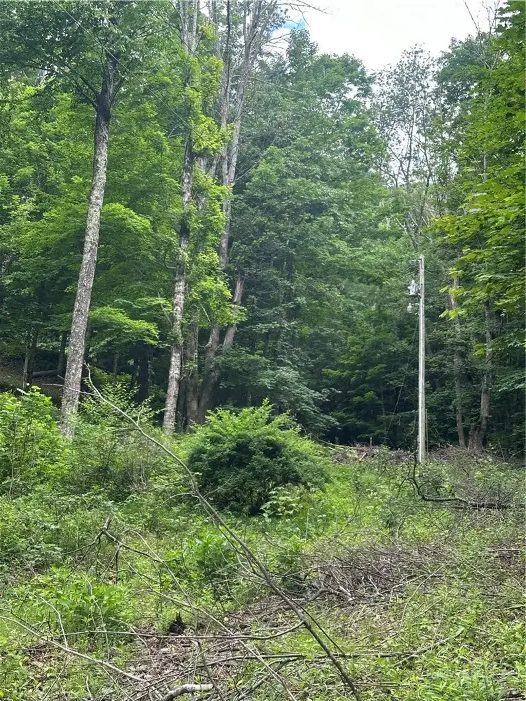 Tbd Chestnut Grove Road, Boone