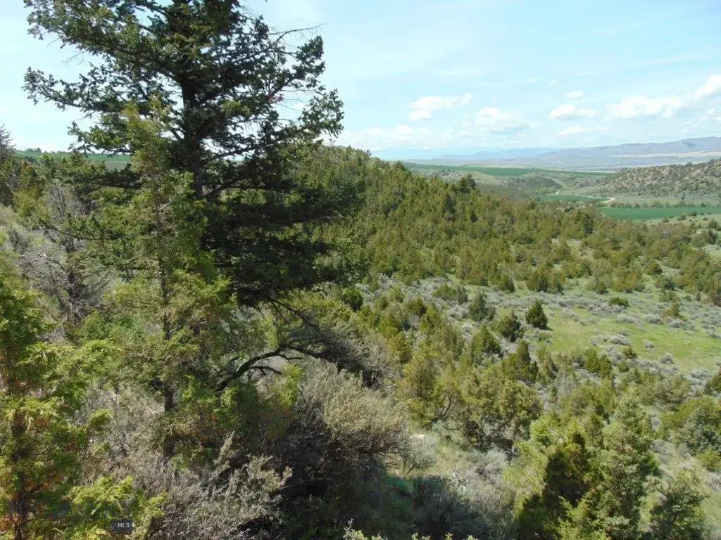 Tbd Lone Wolf Trail, Three Forks