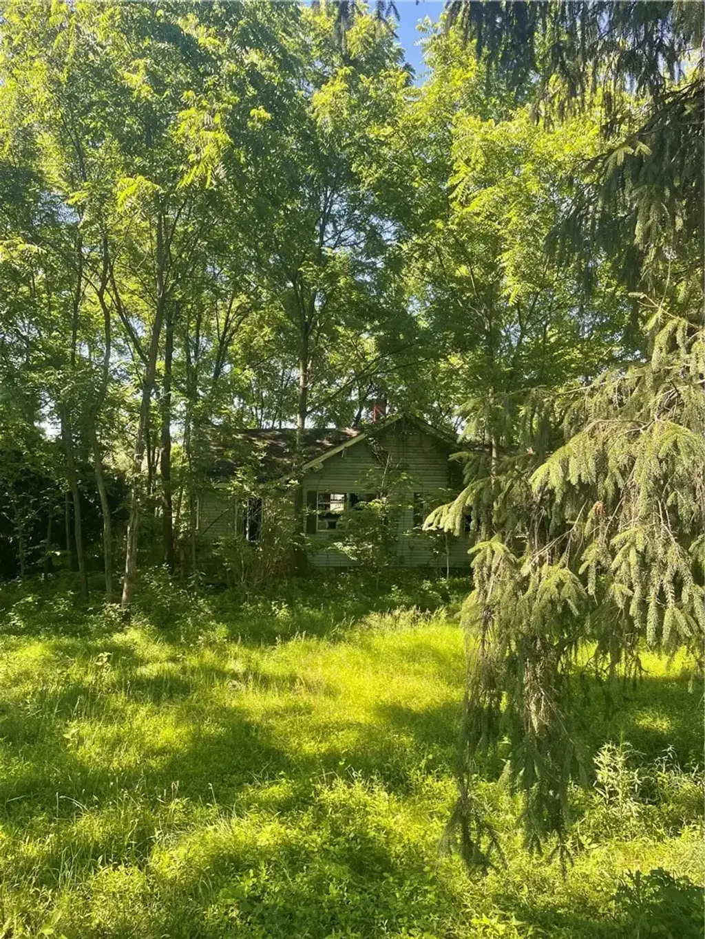 102 Watters Station Road , Forward