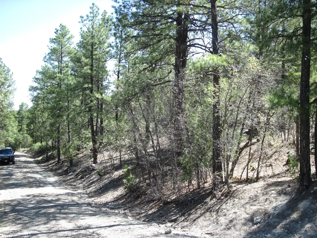 35 Green Shadow Lane, Tijeras