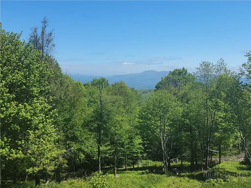 Tbd Foxfire Drive, Banner Elk