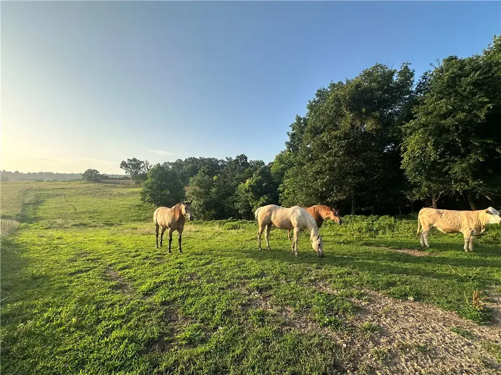 Tbd Madison 7615 Road, Huntsville