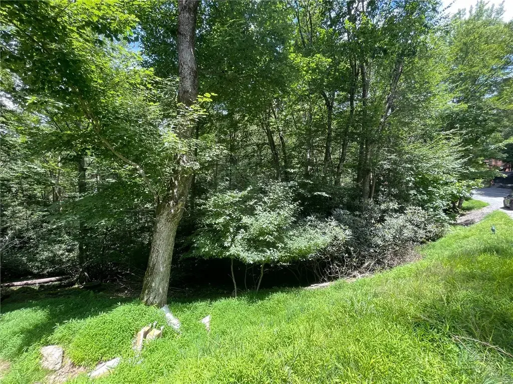 252 Greenbriar Road, Beech Mountain